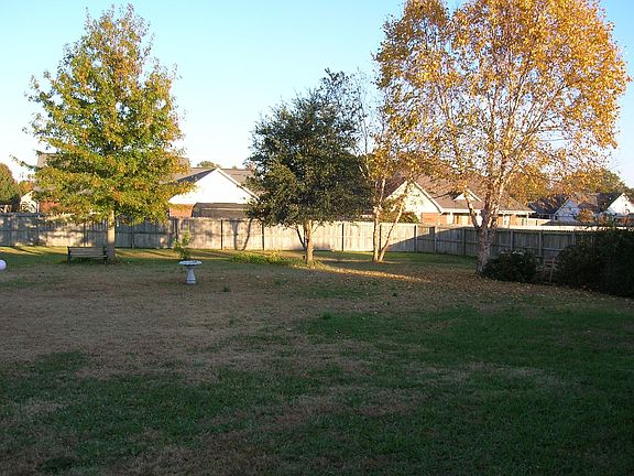 back yard