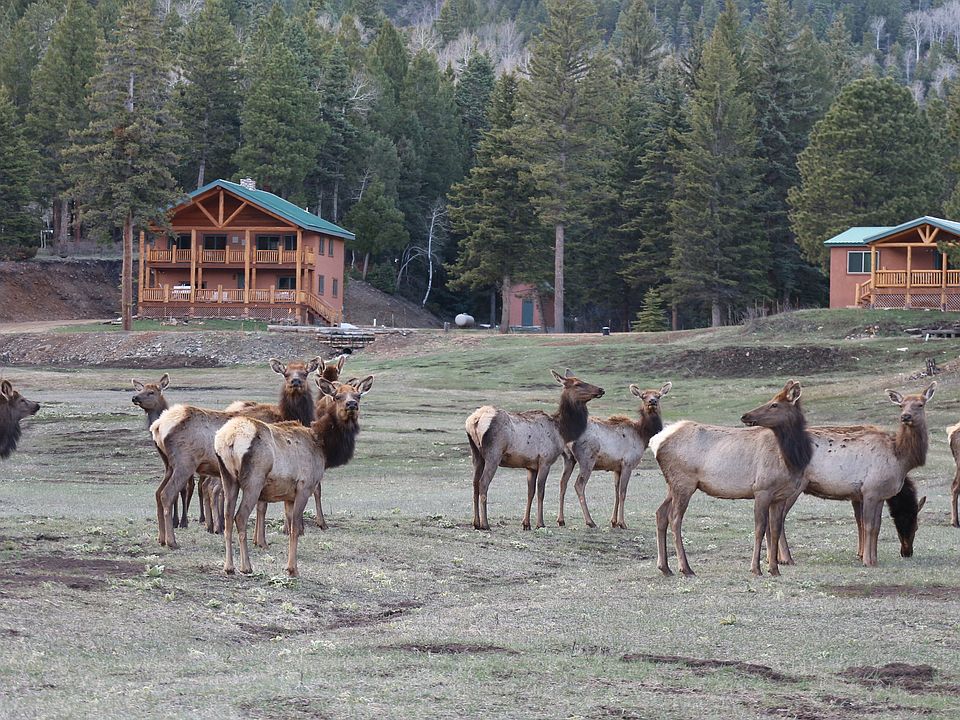 2 Homes on this property!