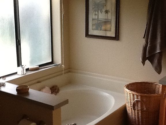 Garden tub in master bath