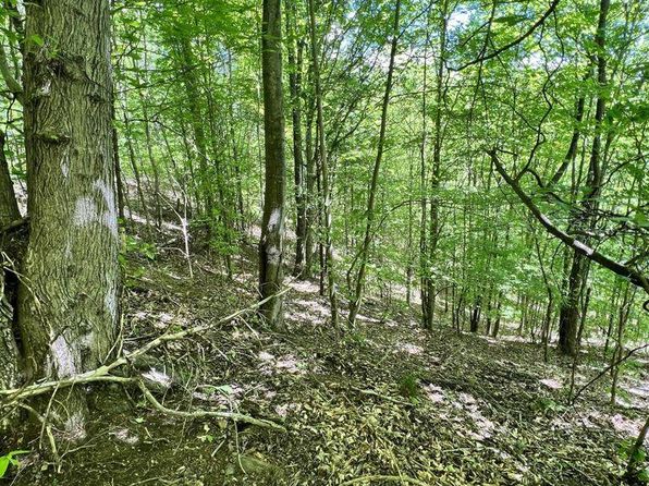 9999 Proffitt Rd, Manchester, KY 40962