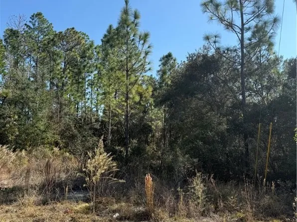 5741 N Summerfield Point, Citrus Springs, FL 34434