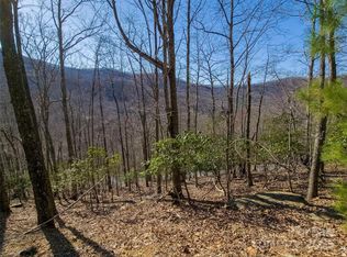 195 Smokemont Dr #64, Arden, NC 28704