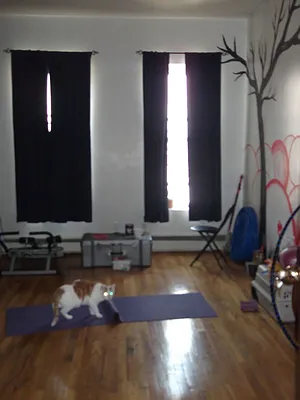 Rented by Nooklyn NYC LLC | media 17