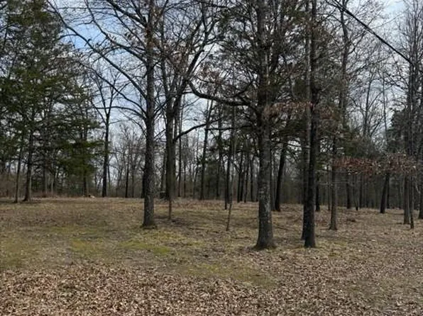 42 Douglas Cv, Lead Hill, AR 72644