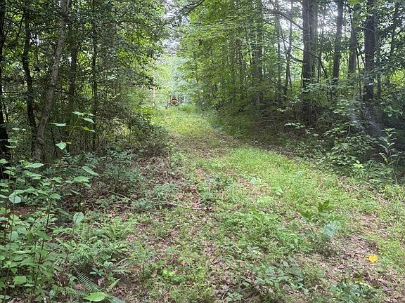 5th image of 0 Camp Creek Estates Dr