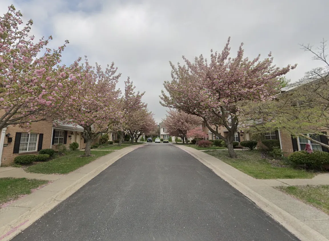 Shady Lane — Photo 1
