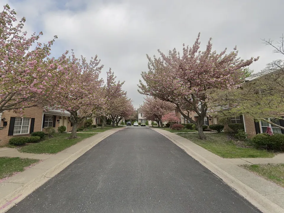 Shady Lane