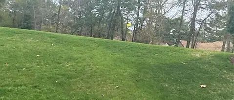 3rd image of 561B Malvern Ct