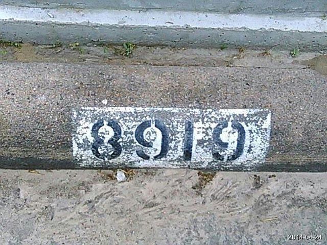 2nd image of 8919 Bold Forest Dr