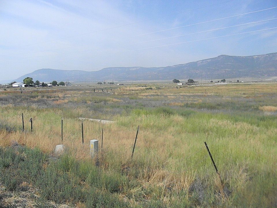 2nd image of 50 N Ducksprings
