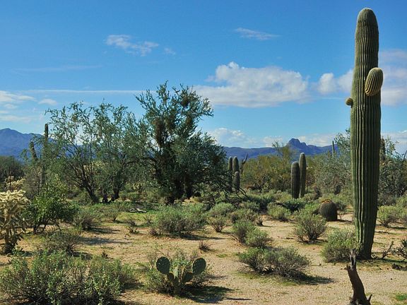 Views of Sombrero Peak