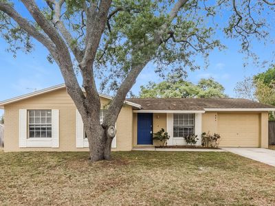 904 Briarcliff Dr, Valrico, FL, 33594