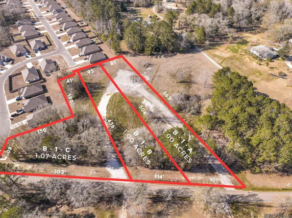 LOT One Burgess Rd #B, Denham Springs, LA 70726