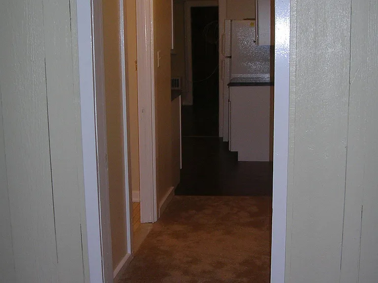 366 Madison Ave #BASEMENT — Photo 15