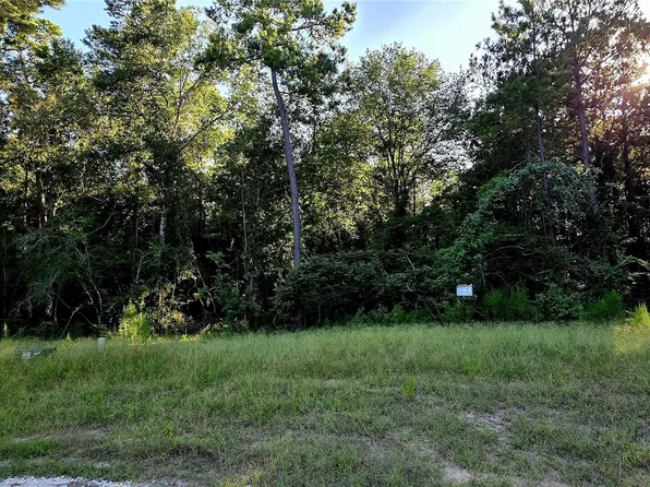 107 Romantic Dreams Ct Lot 27, Huntsville, TX 77340