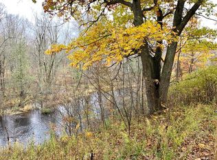 581 N Cole Creek Ln, White Cloud, MI 49349