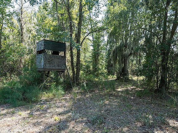 48th image of this home