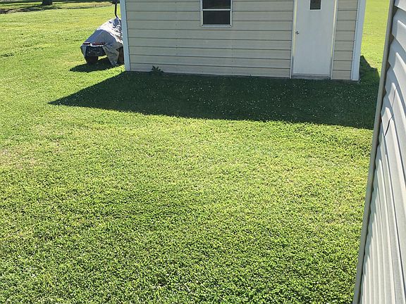 Shed View 2