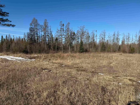 Off M69 Stebbins Rd, Bark River, MI 49807