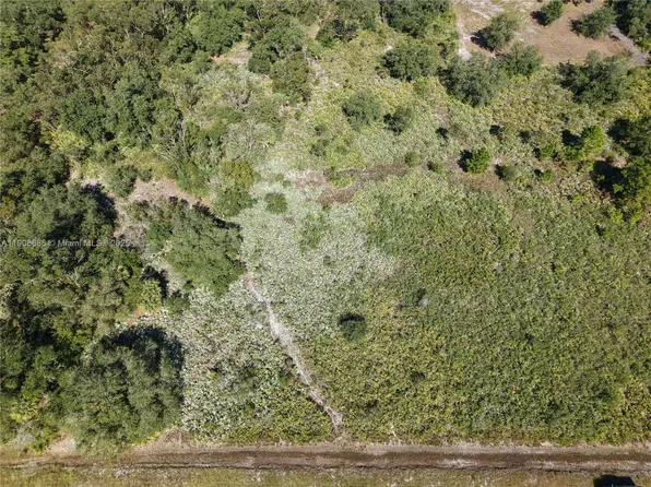 15527 NW 252nd St, Okeechobee, FL 34972