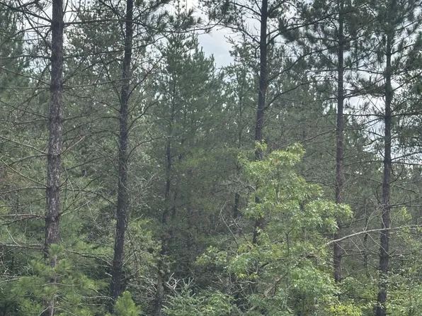 Near Cth Y S Rns Lot 7, Tomahawk, WI 54487