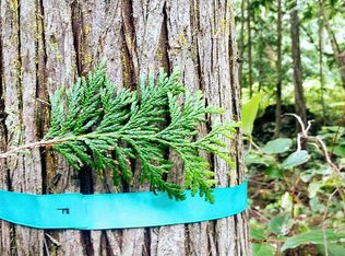 0 Doe Pl, Sequim, WA 98382