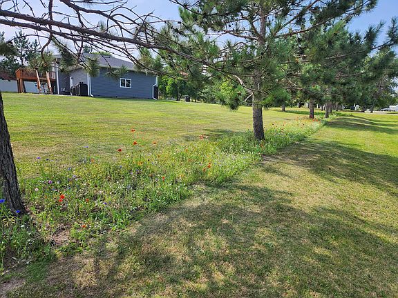 5th image of 2416 Pearl Dr