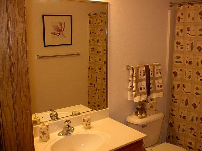 Guest Bath