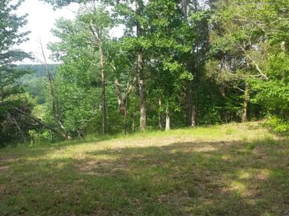 35 Whitaker Bend Dr, Linden, TN 37096