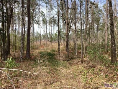 Y 1 A 1 D Pace Rd, Clinton, LA, 70722