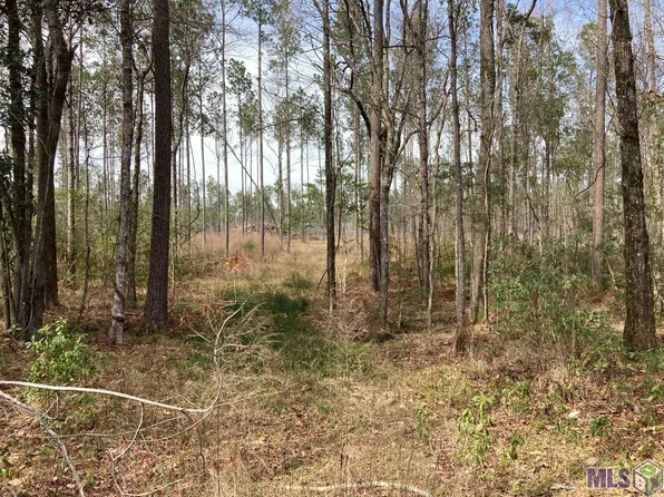Y 1 A 1 D Pace Rd, Clinton, LA 70722