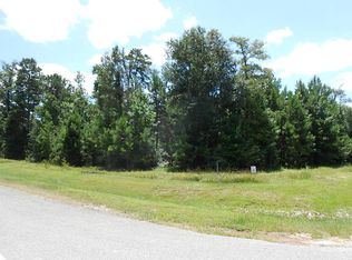 312 Ridgelake Scenic Dr, Montgomery, TX 77316