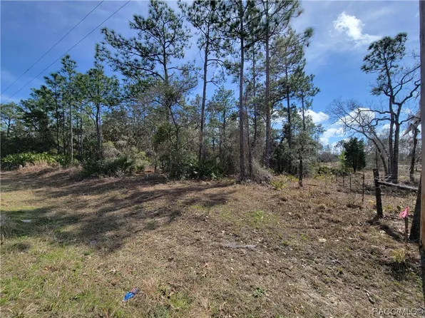 6612 W Copenhagen St, Dunnellon, FL 34433