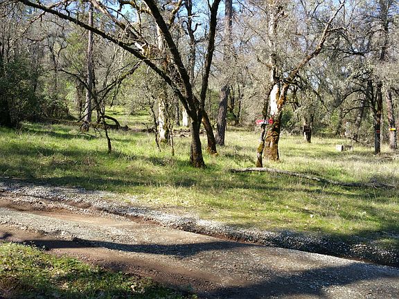 4th image of 19230 Black Oak Dr