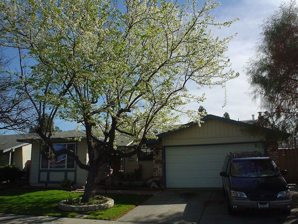 Best Little Home on Oroville