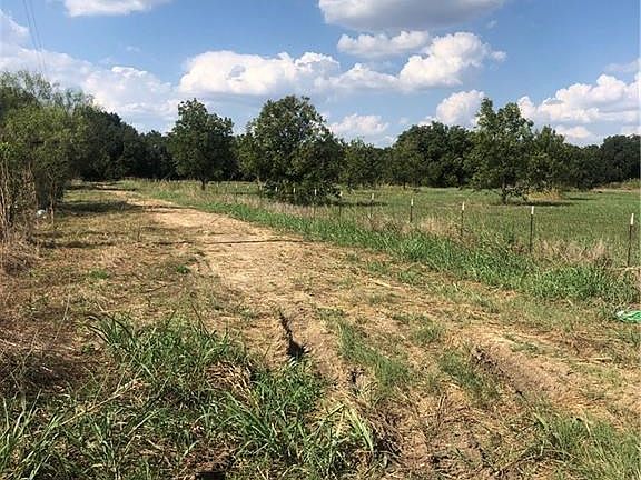 3rd image of 14845 Clear Creek Dr