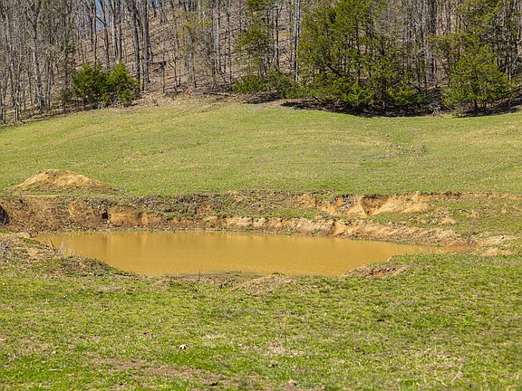 14th image of this home