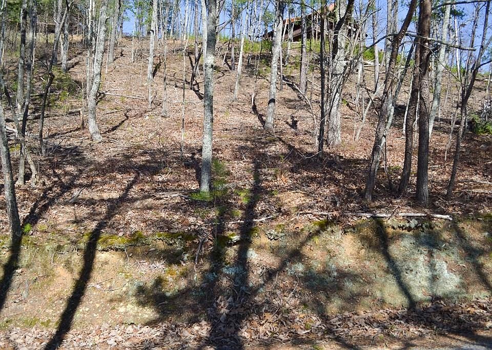 1st image of 30 Huckleberry Way Lot 30