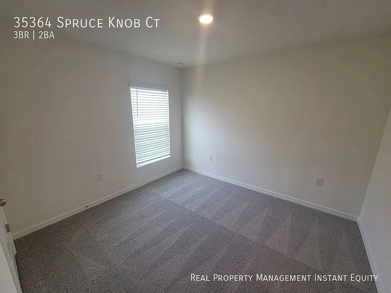 35364 Spruce Knob Ct — Photo 15