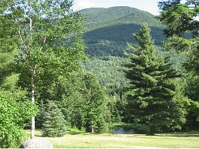 Spring Fed Trout Pond