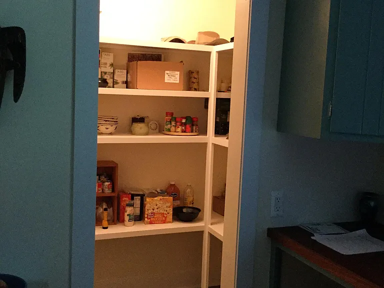 Kitchen pantry has ample storage
