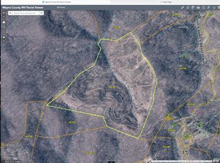 0 Fisher Bowen Branch Rd, Wayne, WV 25570