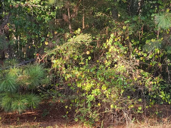 1013 Columbus Dr, Jonesboro, GA 30236