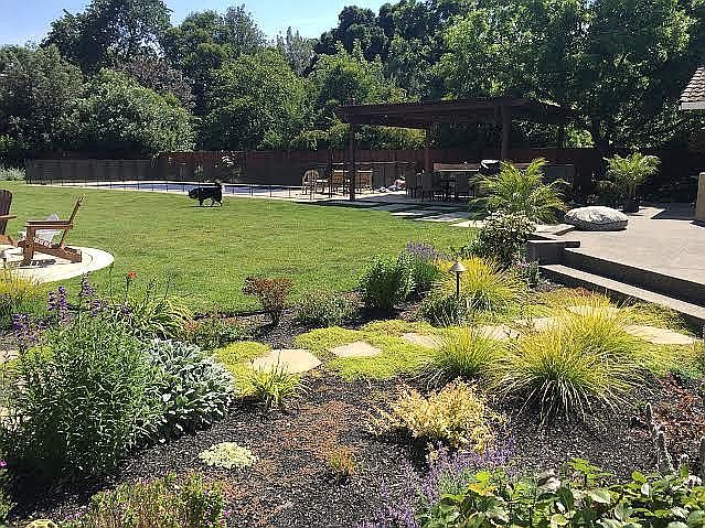 New landscaped yard/Pool
