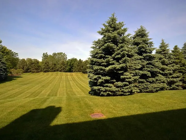 318 Abington Woods Dr — Photo 10