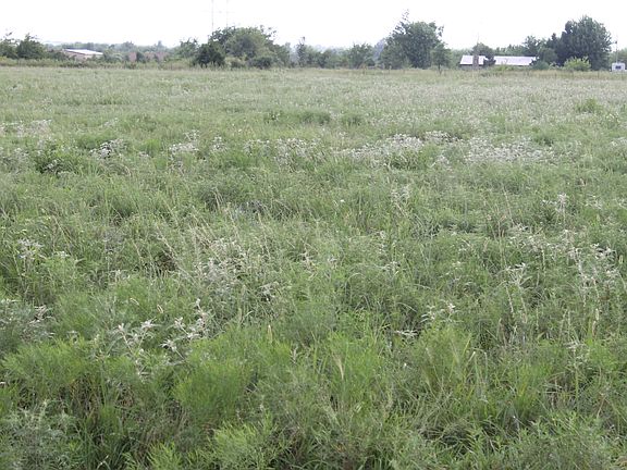 5th image of 11500 S. 4100 Road