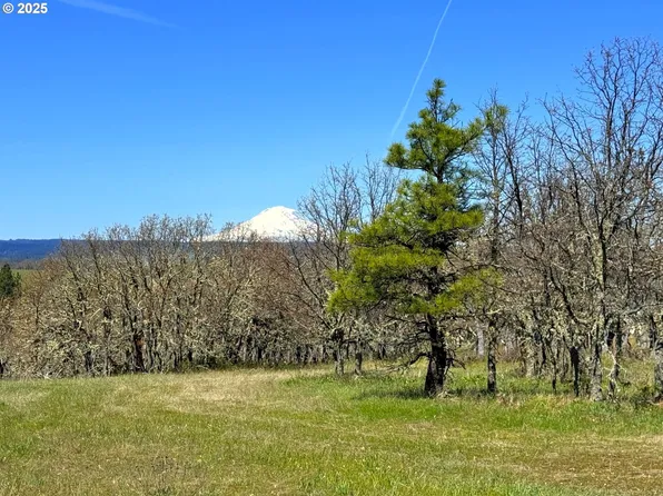 Centerville Hwy Lot 3, Lyle, WA 98635