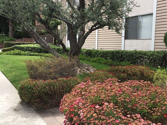 5th image of 25921 Oak St Unit 104