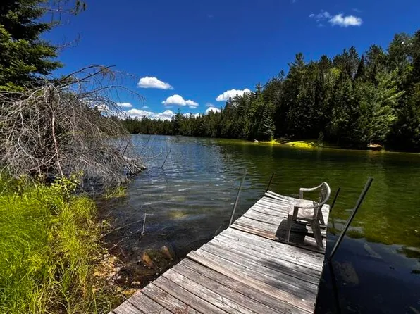 37 38 Shore Line Dr, Wolverine, MI 49799
