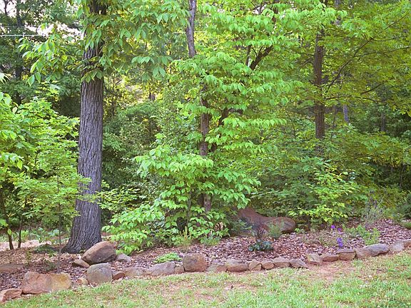 View from Front window